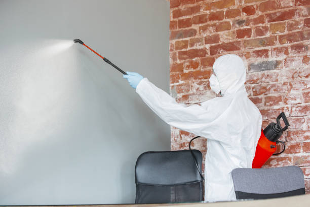Best Black Mold Removal  in Lynden, WA