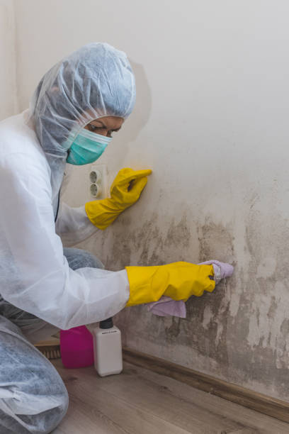Best Emergency Mold Remediation  in Lynden, WA