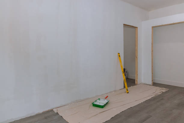 Professional Mold Removal in Lynden, WA