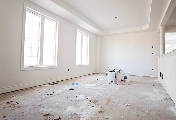 Best Basement Mold Removal  in Lynden, WA